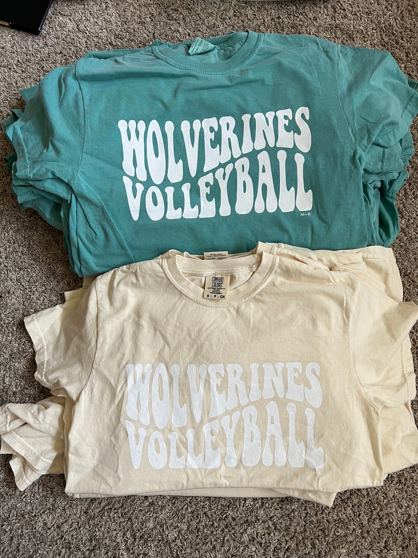 Wolverines Volleyball
